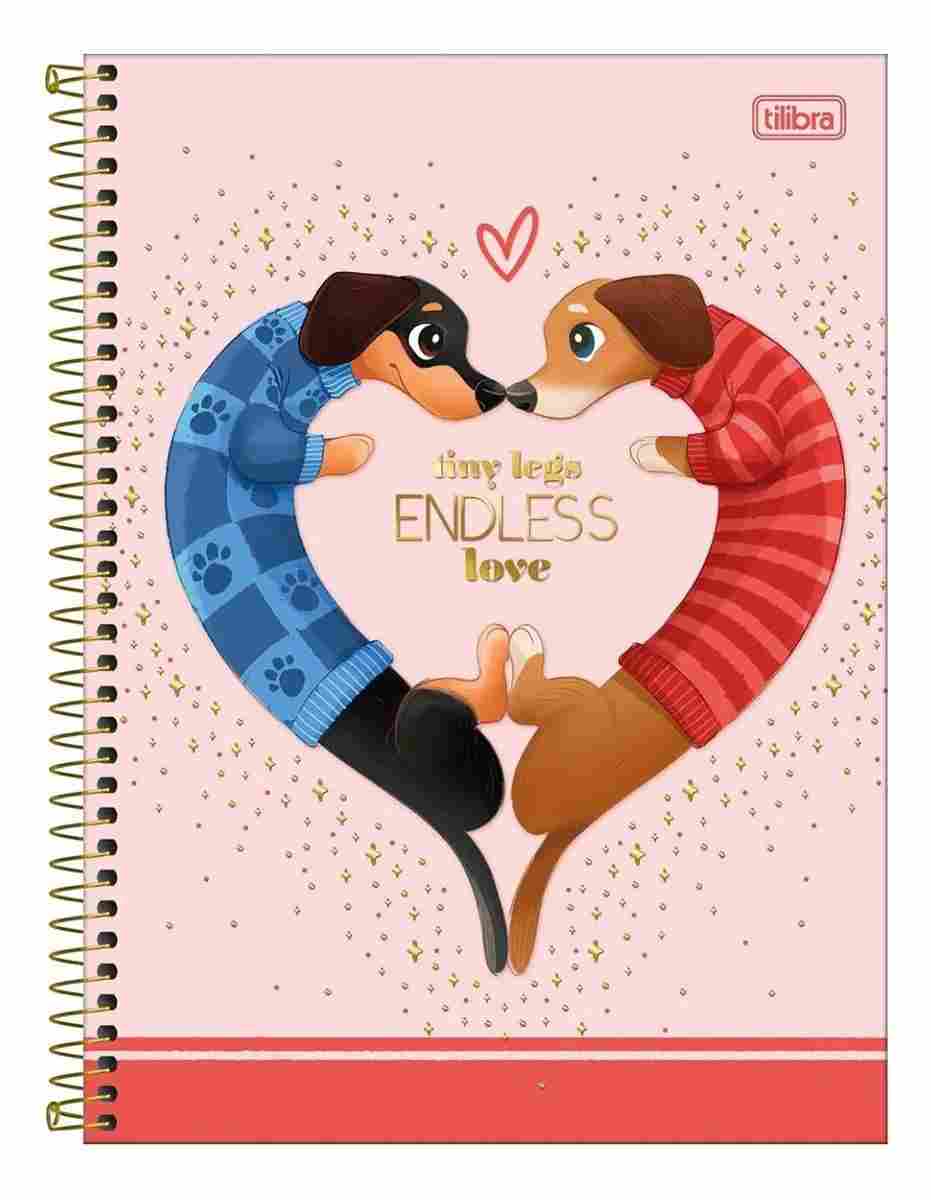 CADERNO 10X1 COLEGIAL BROWNIE